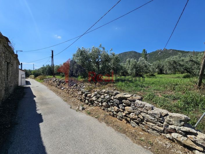 Image No.21-Propriété à vendre à Artemida