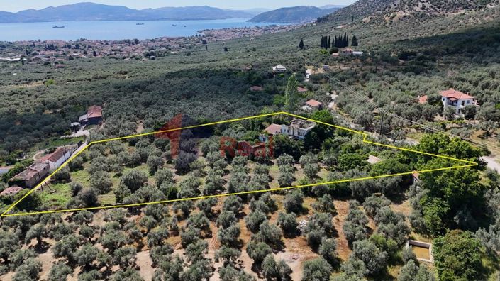 Image No.3-Propriété à vendre à Artemida