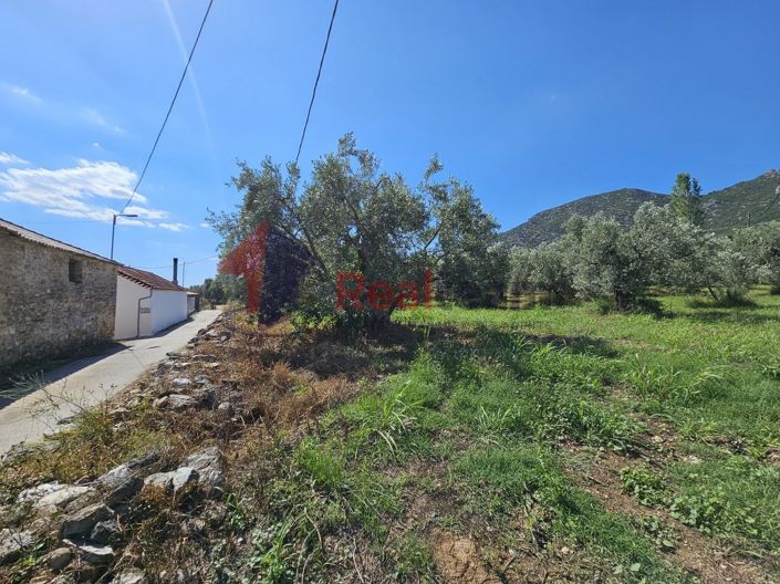 Image No.6-Propriété à vendre à Artemida