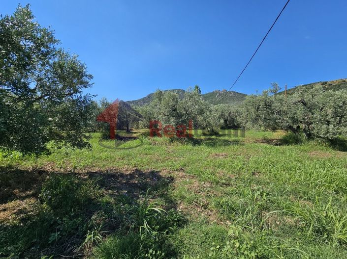 Image No.7-Propriété à vendre à Artemida