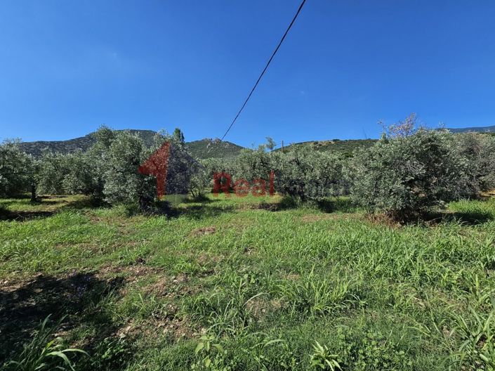 Image No.8-Propriété à vendre à Artemida