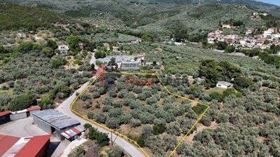 2ca350e4e38c41a8885c2744e6b84889