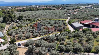 05e8abfd502548f284425171423a231e