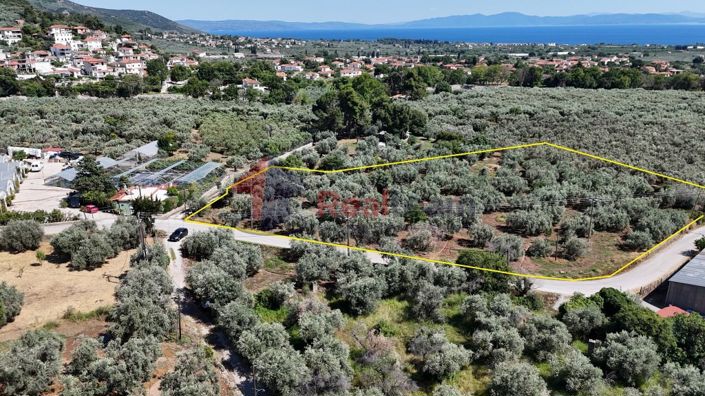 Image No.15-Propriété à vendre à Artemida