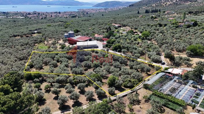 Image No.18-Propriété à vendre à Artemida