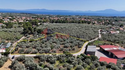 69cfb650fa5d49c4af36be36c0fb6739