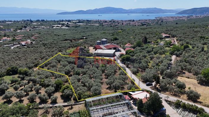 Image No.20-Propriété à vendre à Artemida