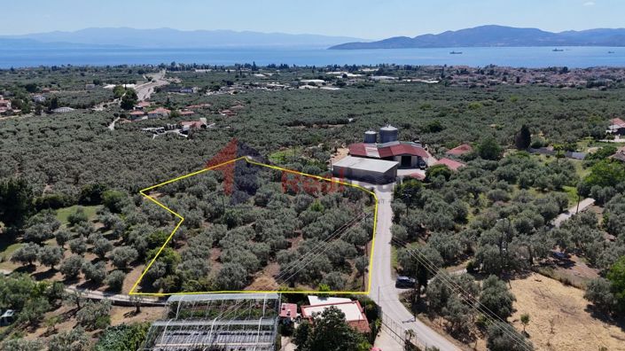 Image No.21-Propriété à vendre à Artemida