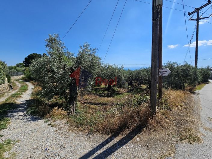 Image No.22-Propriété à vendre à Artemida