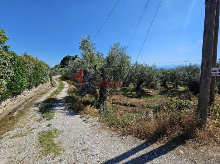 Image No.23-Propriété à vendre à Artemida