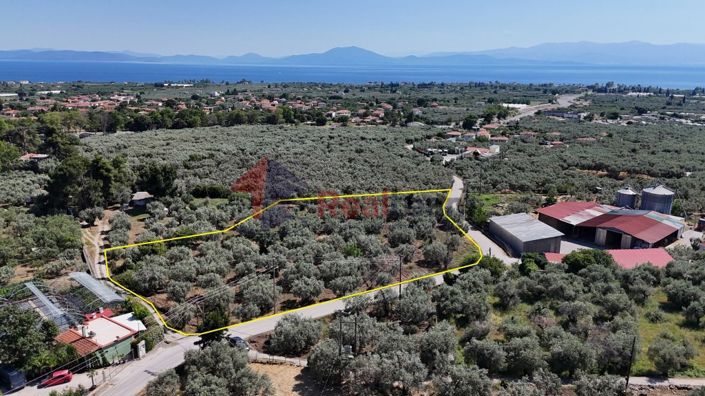 Image No.6-Propriété à vendre à Artemida