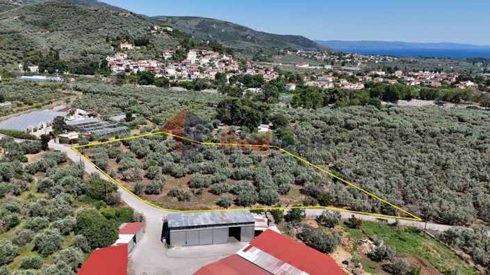 Image No.7-Propriété à vendre à Artemida