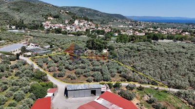 7eaf3f7ae91b4667b5b29ac12968153e