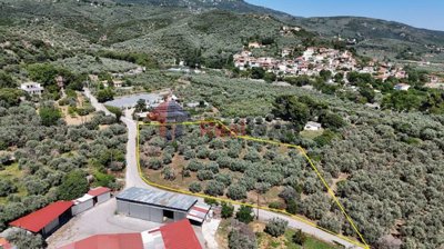 c1f3483321cb4d5eb6d9a883b859dc02