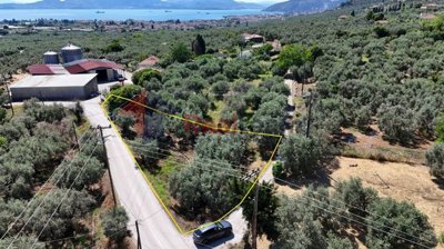 c7c8c108a3a04f40abbd752c95131b99