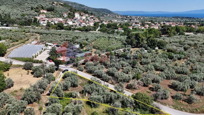 Image No.10-Propriété à vendre à Artemida