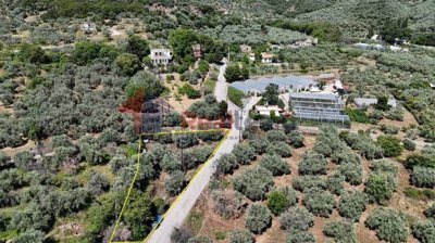 e6fa2f309e1c4b1a9e260bb47ba52b63