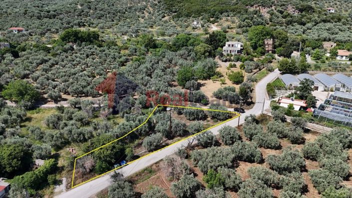 Image No.13-Propriété à vendre à Artemida