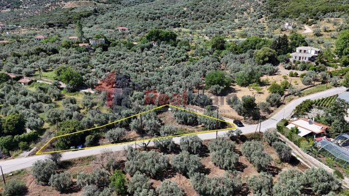 Image No.14-Propriété à vendre à Artemida