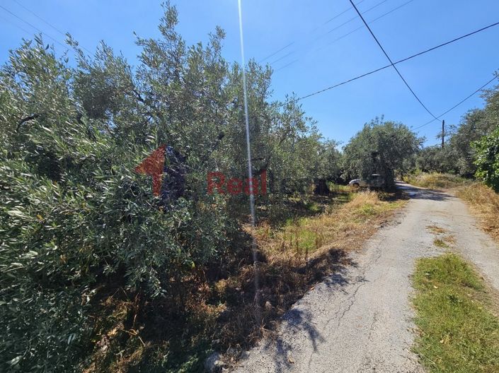 Image No.16-Propriété à vendre à Artemida