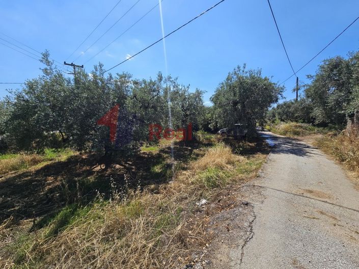 Image No.17-Propriété à vendre à Artemida