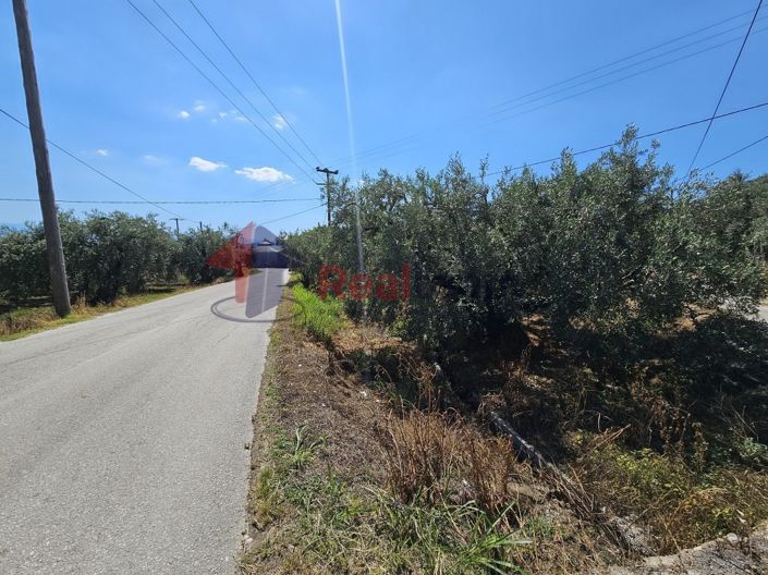 Image No.18-Propriété à vendre à Artemida