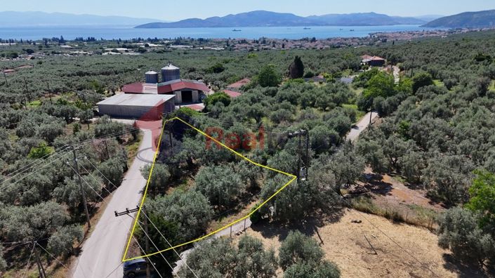 Image No.2-Propriété à vendre à Artemida