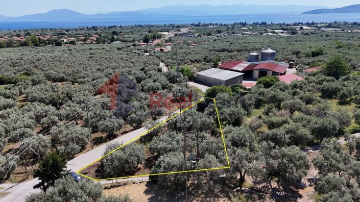 Image No.3-Propriété à vendre à Artemida