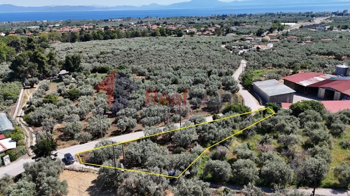 Image No.5-Propriété à vendre à Artemida