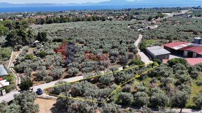 553586cb9dc84dc081509ff29186051f