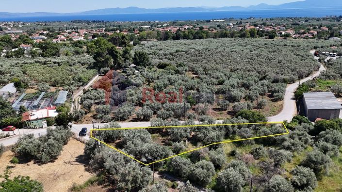 Image No.6-Propriété à vendre à Artemida