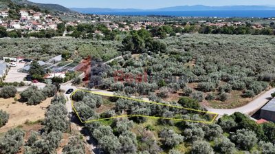 38e485d7bbe34034a1d4c22f427bf3b9