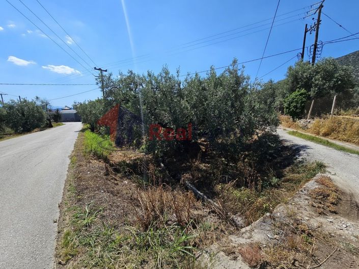 Image No.8-Propriété à vendre à Artemida