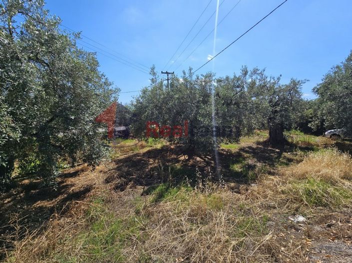 Image No.9-Propriété à vendre à Artemida