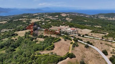 bb1a09e7d1ba44ad96281bfc0d07481a