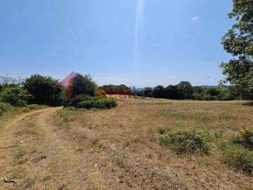 1d9395a407e0410db6730d2be0b55257