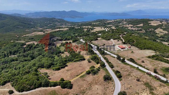 Image No.2-Propriété à vendre à Argalasti