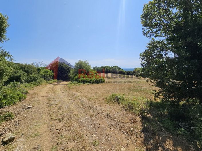 Image No.5-Propriété à vendre à Argalasti