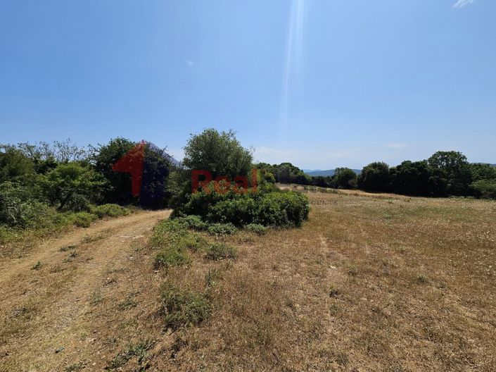 Image No.6-Propriété à vendre à Argalasti