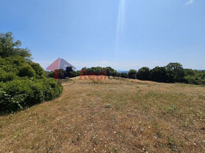 Image No.7-Propriété à vendre à Argalasti