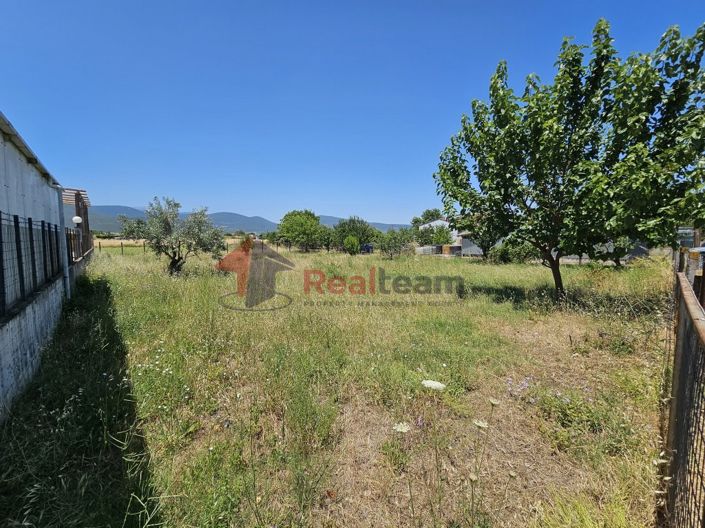 Image No.6-Propriété à vendre à Sourpi