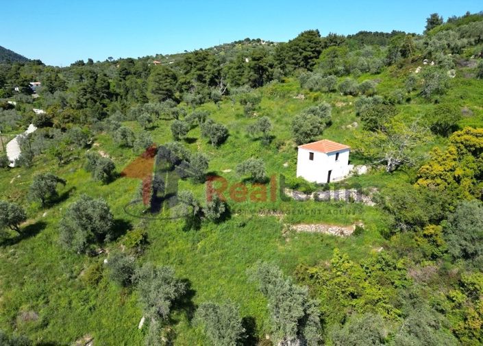 Image No.10-Propriété à vendre à Chora