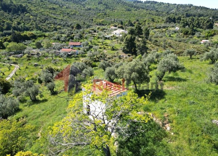 Image No.11-Propriété à vendre à Chora