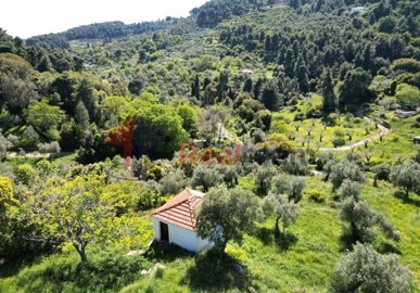 imga573559b-11a6-406d-aeeb-24ec39fe93d8