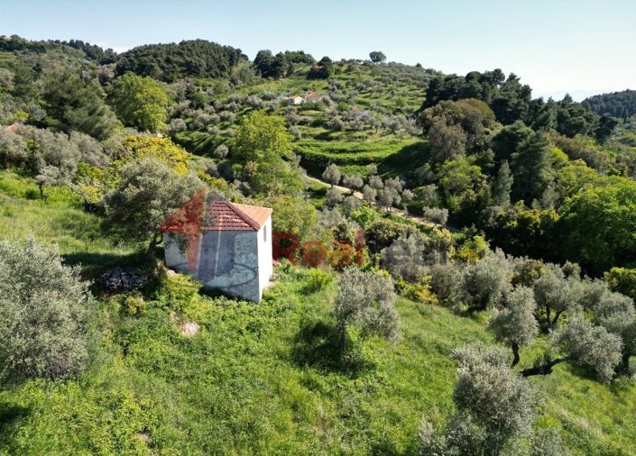 Image No.13-Propriété à vendre à Chora