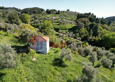 imge837e4a1-0e3c-45fc-b229-9edc904d10f6