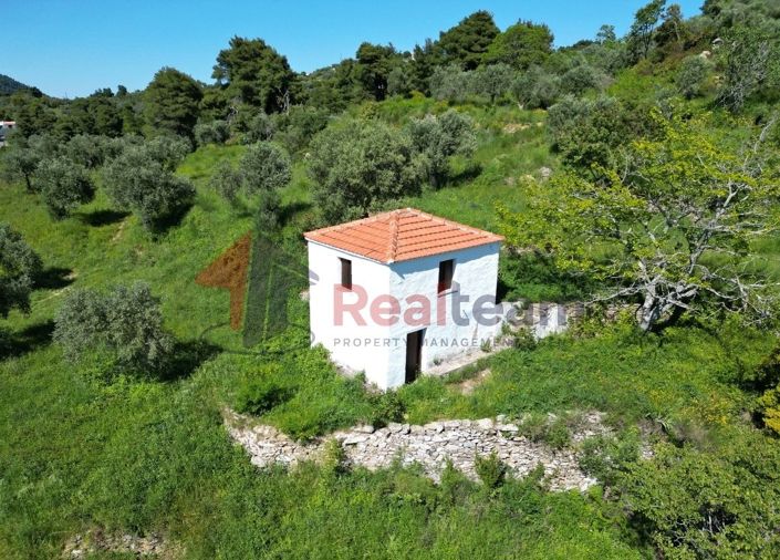 Image No.14-Propriété à vendre à Chora