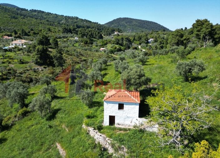 Image No.15-Propriété à vendre à Chora