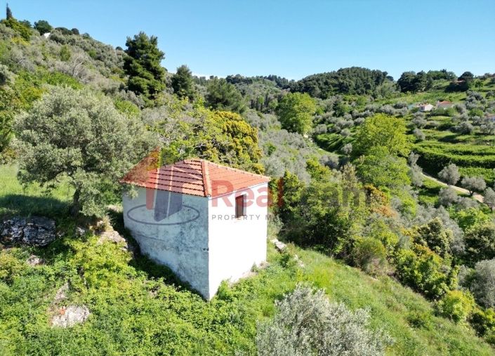 Image No.16-Propriété à vendre à Chora