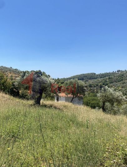 Image No.18-Propriété à vendre à Chora